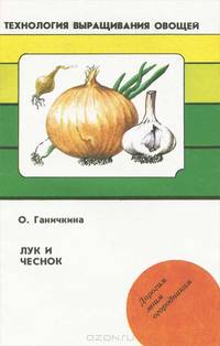 Лук и чеснок