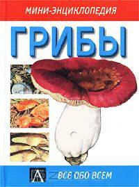 Грибы