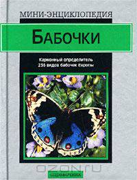 Бабочки