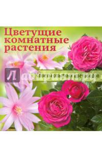 Цветущие комнатные растения. Советы опытных цветоводов