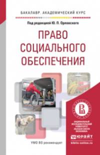 Право социального обеспечения. Учебное пособие для академического бакалавриата
