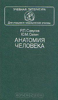 Анатомия человека