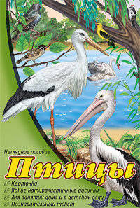 Наглядное пособие А4. Птицы