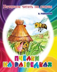 Пчелки на разведках