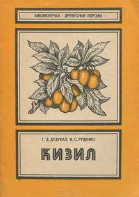 Кизил