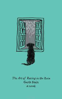 The Art of Racing in the Rain