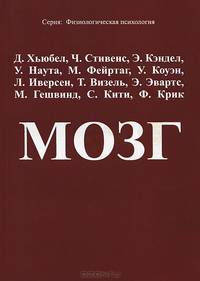 Мозг