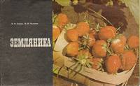 Земляника