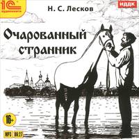 Очарованный странник (аудиокнига MP3)