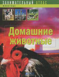 Домашние животные