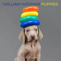 Календарь 2015 (на скрепке). William Wegman Puppies