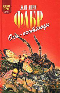 Осы-охотницы