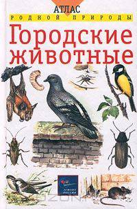 Городские животные