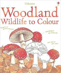 Woodland Wildlife to Colour