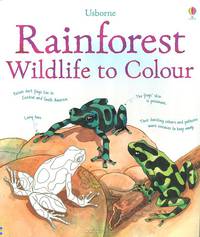 Rainforest Wildlife to Colour