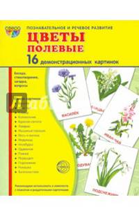 Демонстрационные картинки "Цветы полевые" (173х220 мм)