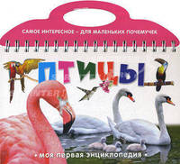 Птицы. Моя первая энциклопедия