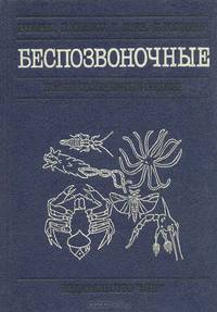 Беспозвоночные. Новый обобщенный подход