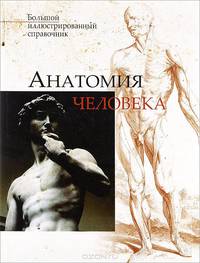 Анатомия человека. Большой иллюстрированный справочник
