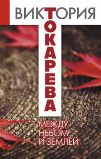Между небом и землей