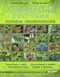 Хвойные растения. Большая энциклопедия