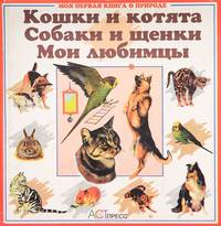 Кошки и котята. Собаки и щенки. Мои любимцы
