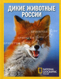 Удивительные животные России