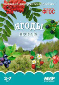 Ягоды лесные. Наглядно-дидактическое пособие. 3-7 лет