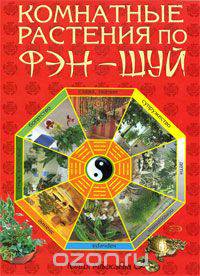 Комнатные растения по фэн-шуй