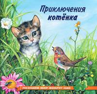 ОСП.Фл.ПМВН.Приключения котенка
