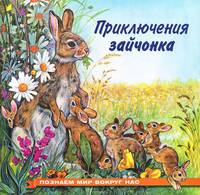 Приключения зайчонка