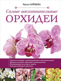 Самые восхитительные орхидеи
