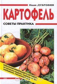 Картофель. Советы практика
