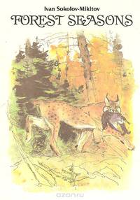 Forest Seasons