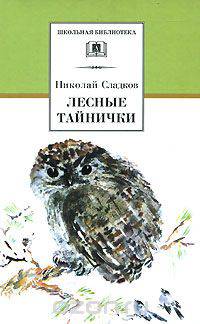 Лесные тайнички