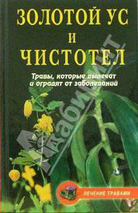 Золотой ус и чистотел: Травы, которые вылечат и оградят от заболеваний