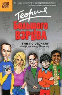 Теория Большого взрыва. Гид по сериалу по версии Kuraj-Bambey