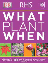 What Plant When