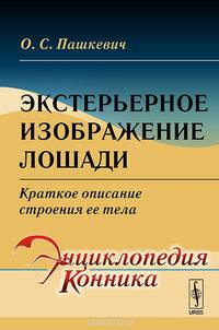 Экстерьерное изображение лошади. Краткое описание строения ее тела