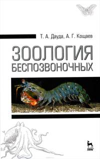 Зоология беспозвоночных. Учебное пособие