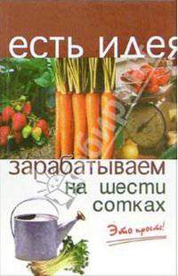 Зарабатываем на шести сотках. Это просто!