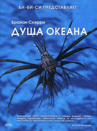 Душа океана