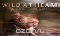 Wild at Heart: Man and Beast in Southern Africa