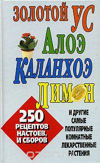 Золотой ус, алоэ. каланхоэ, лимон и другие самые популярные комнатные лекарственные растения