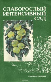 Слаборослый интенсивный сад