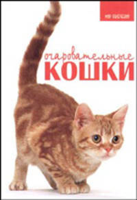 Очаровательные кошки - (Мир увлечений)