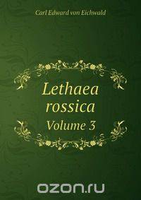 Lethaea rossica