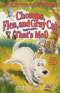 Chomps, Flea, and Gray Cat (That