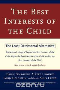 The Best Interests of the Child
