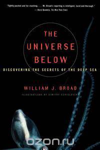 The Universe Below
